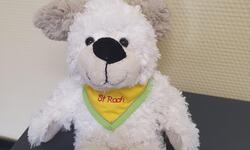 Mascotte